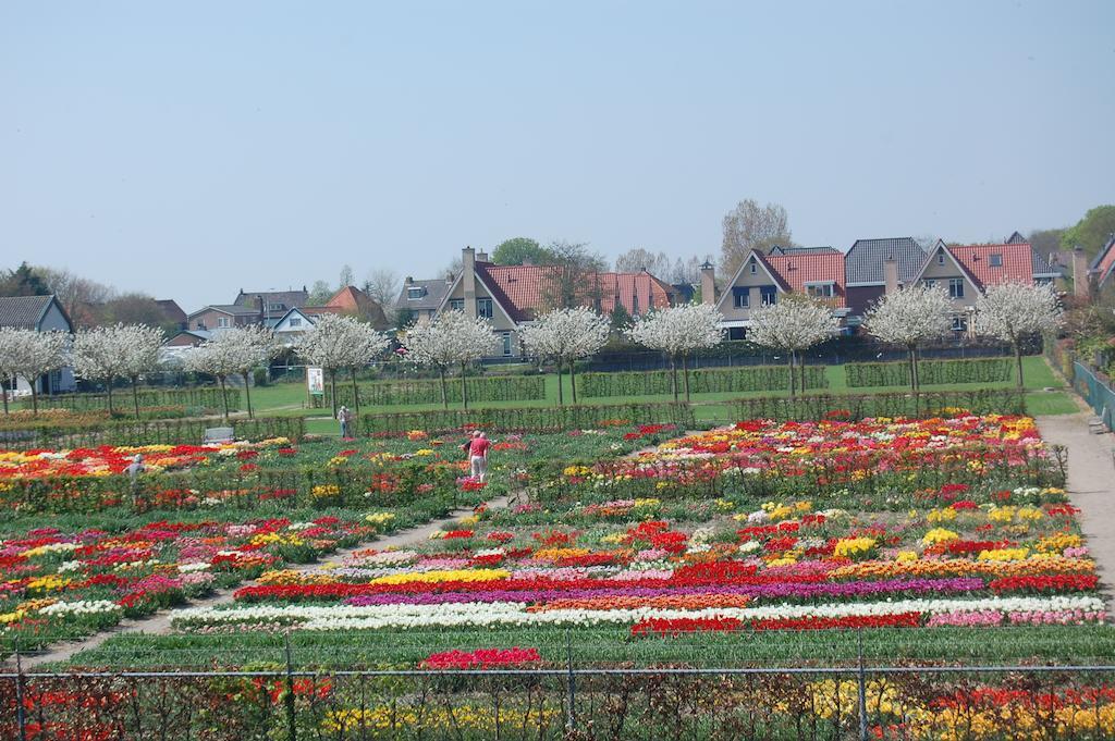 B&B Limmerzand Limmen Exterior foto